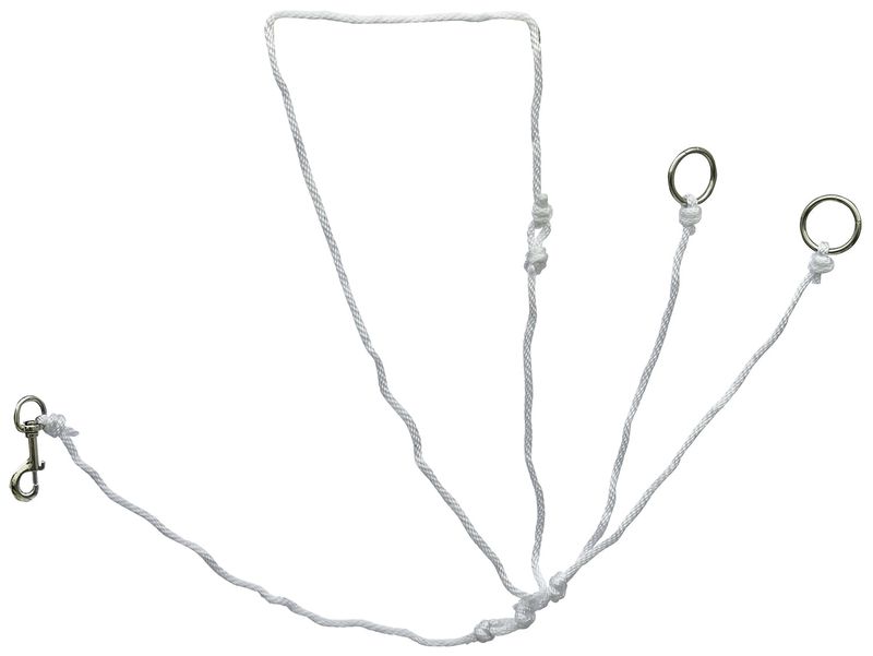 String Martingale Training Fork Jeffers