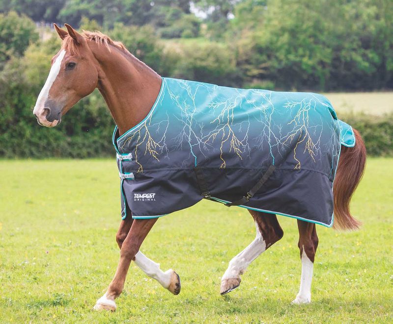 Tempest 600D "Teal Lightening" Horse Blanket, 200g Jeffers
