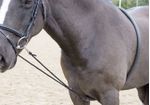 Shires-Soft-Lunge-Aid