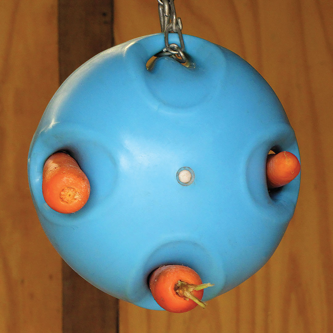 Carrot Ball Horse Treat Dispenser Jeffers