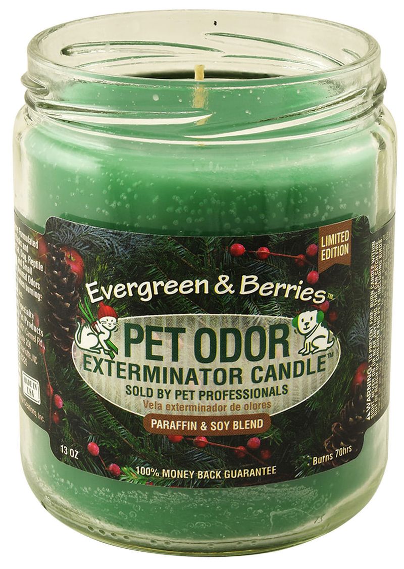 Pet Odor Exterminator Candle, Evergreen & Berries Jeffers