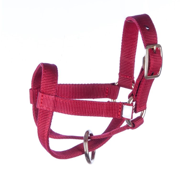 Jeffers-Small-Goat-Halter