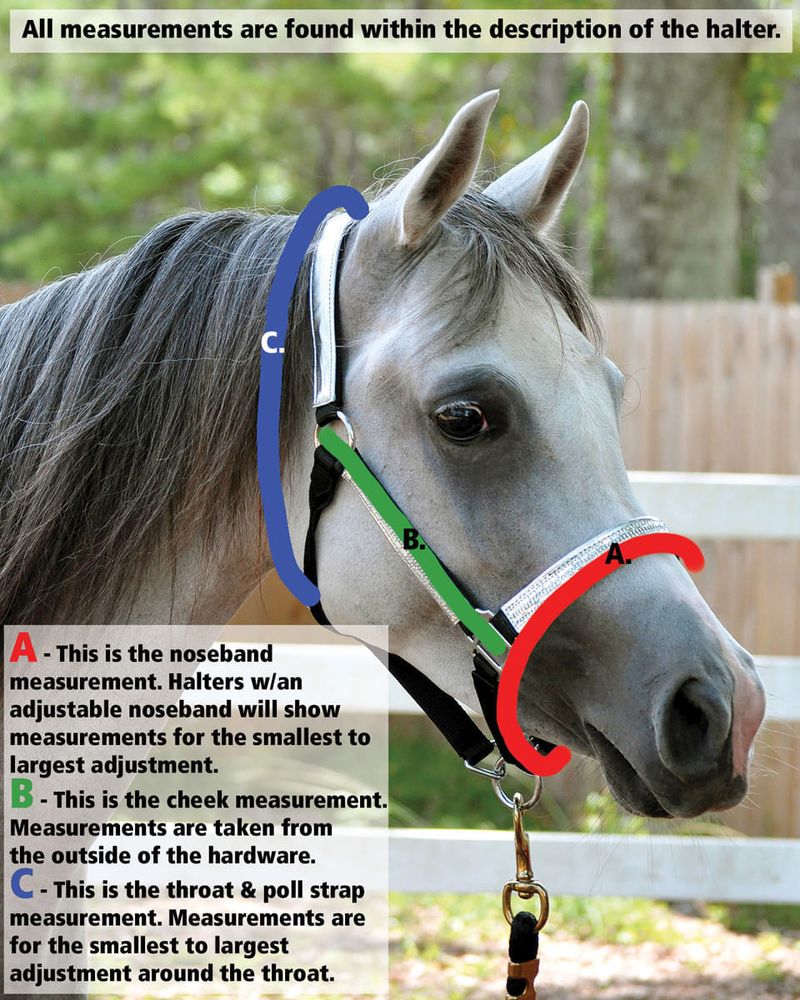 BLUE CLASS B MINIATURE HORSE OR FOAL SIZE HEAVY NYLON HALTER PINK GREEN or RED 
