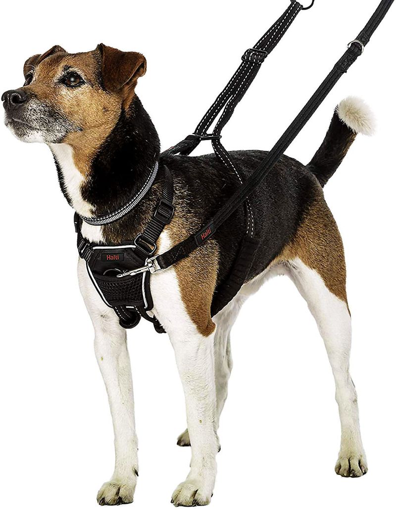 Halti no sale pull harness review