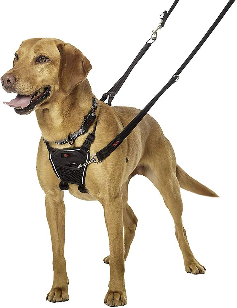 Halti-No-Pull-Harness