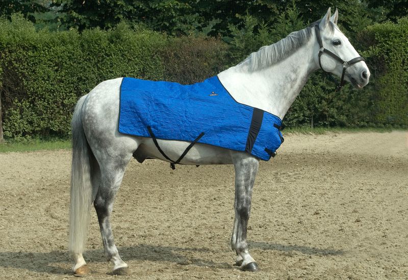 HyperKewl Horse Cooling Blanket, Small/Medium Jeffers