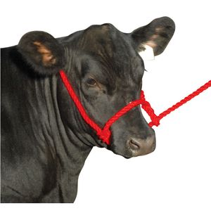 Troyer's Poly Cow Halter
