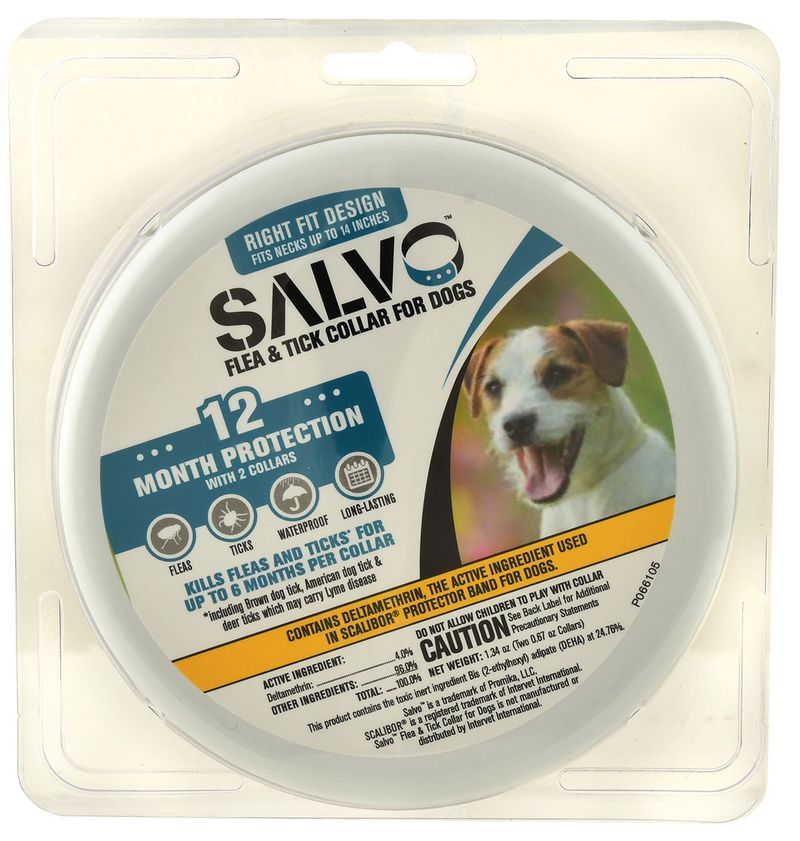 Scalibor protector clearance band for dogs