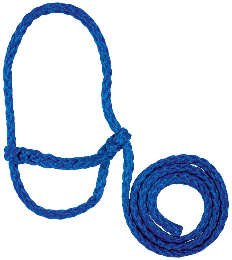 Sheep---Goat-Poly-Rope-Halter