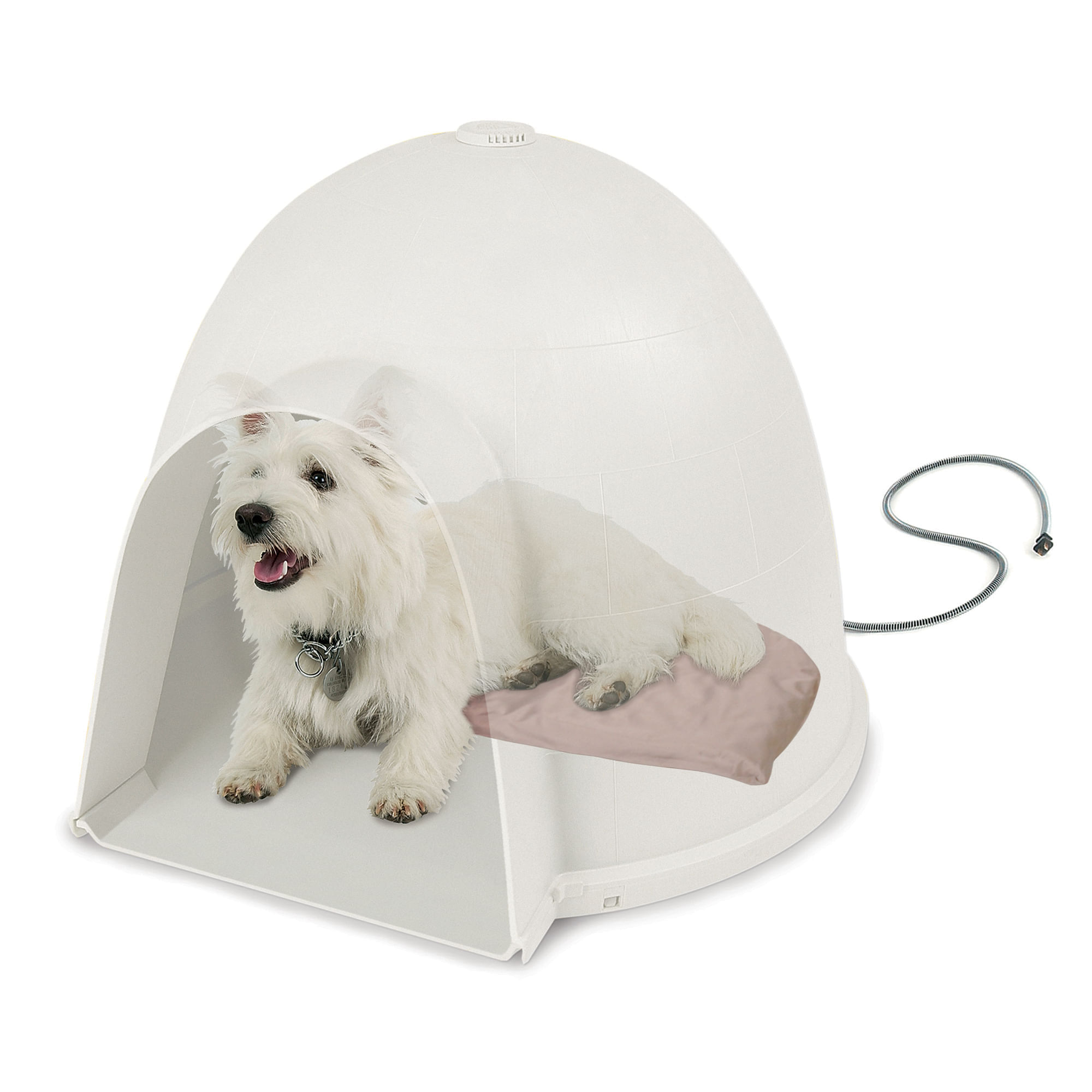 petsmart large igloo dog house