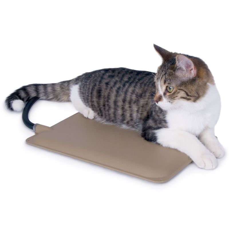 K-H-Small-Animal-Heated-Pad----Accessories-