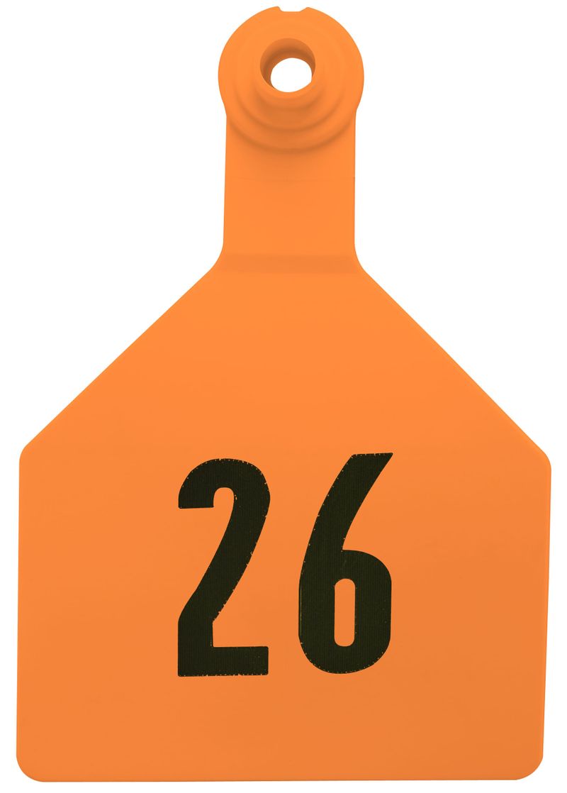 Z2-2-Piece-Numbered-Maxi-Tags-Orange