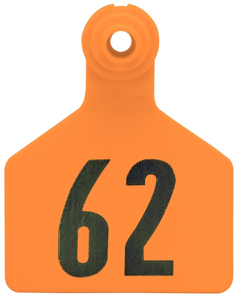 Z2-2-Piece-Large-Numbered-Tags-Orange