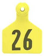 Z2-2-Piece-Large-Numbered-Tags-Yellow