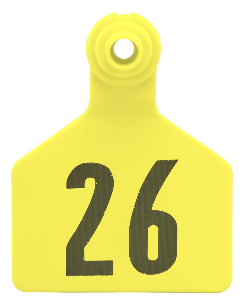 Z2-2-Piece-Large-Numbered-Tags-Yellow