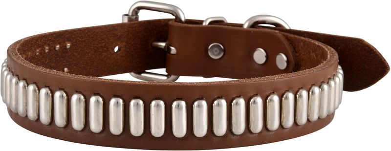 19--Leather-Collar-w--Oblong-Studs