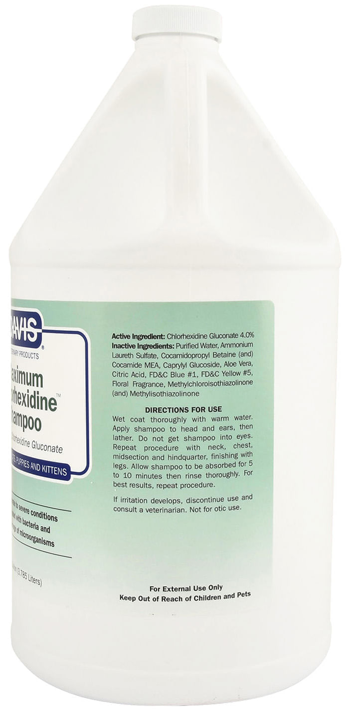 Davis Maximum (4) Chlorhexidine Shampoo Jeffers