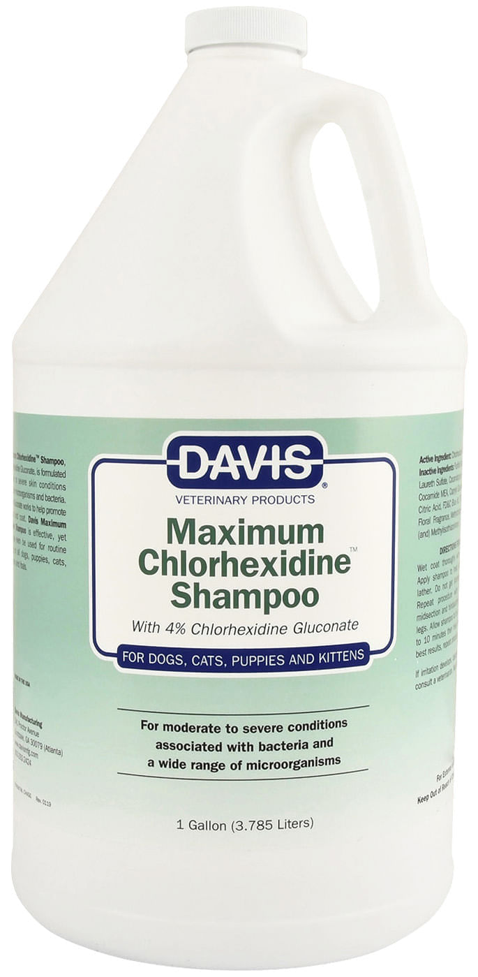 Davis Maximum (4) Chlorhexidine Shampoo Jeffers