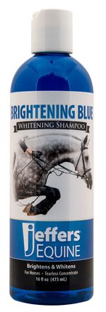 Brightening-Blue-Shampoo-16-oz