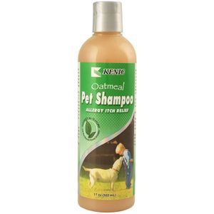 Oatmeal Allergy Itch Relief Shampoo