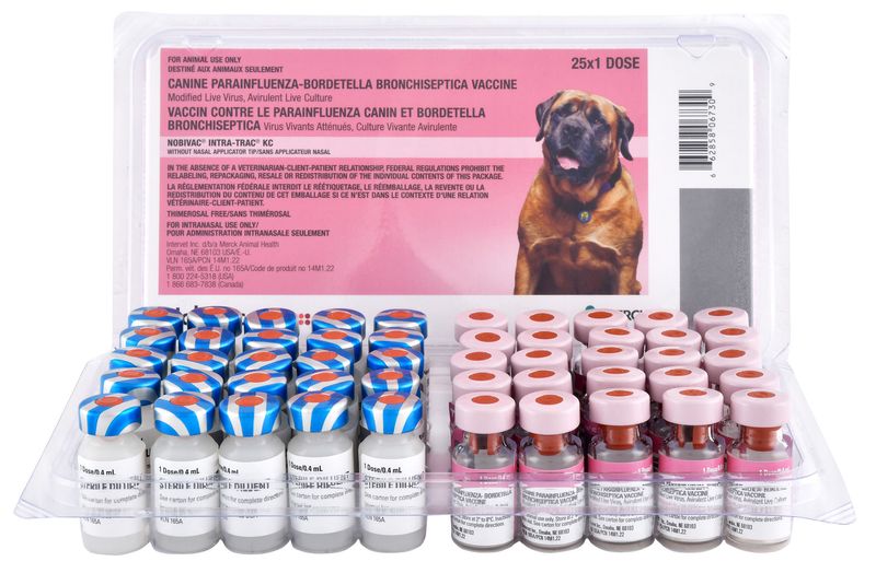 Nobivac best sale kennel cough