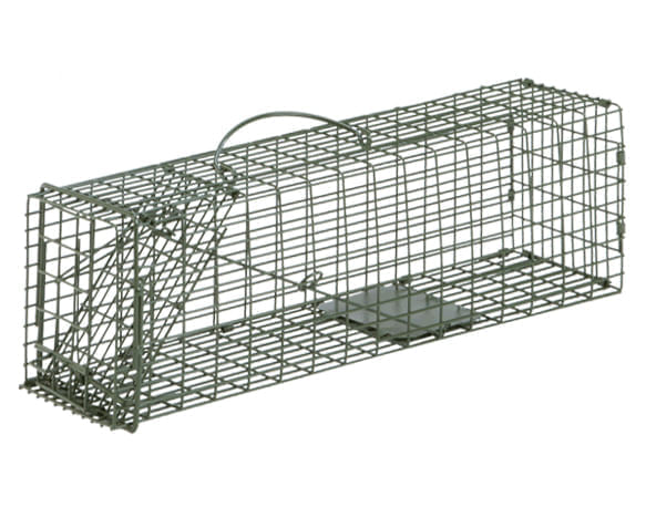 Rat Cage Trap