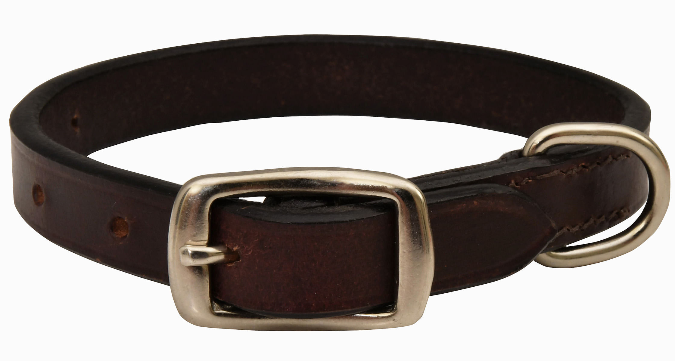 Jeffers Premium Flat Leather Dog Collars with Buckle Style Closure ...