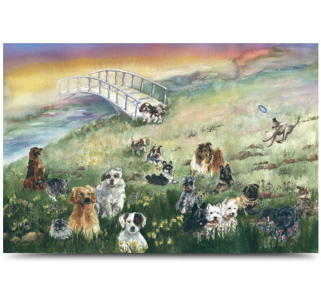 Dog-Rainbow-Bridge-Sympathy-Card
