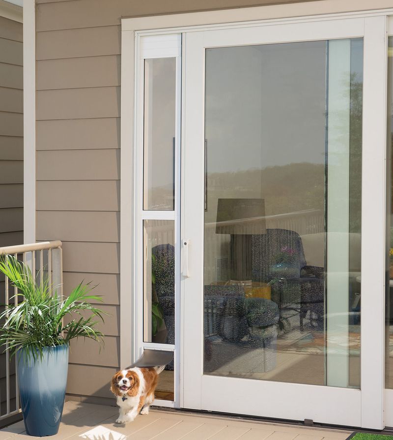 Petsafe sliding dog door sale