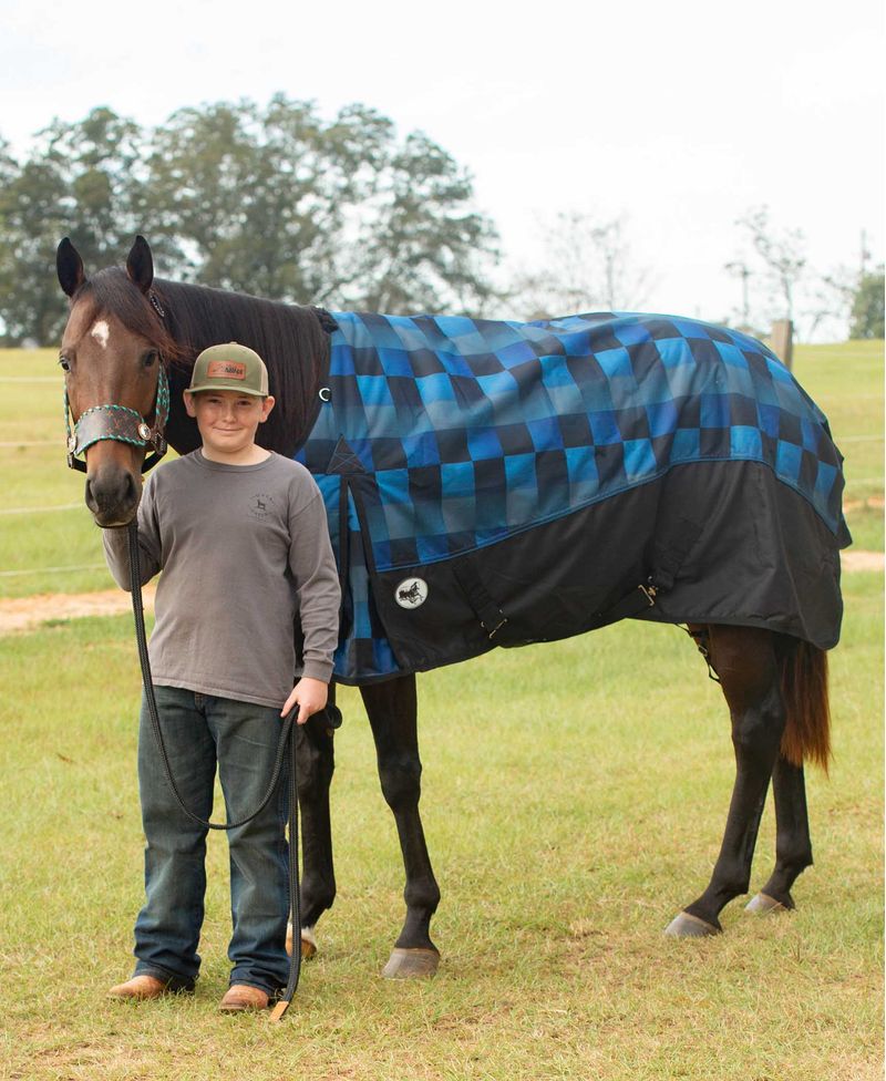 Jeffers 600D "Ombre" Horse Blanket, 240g Jeffers