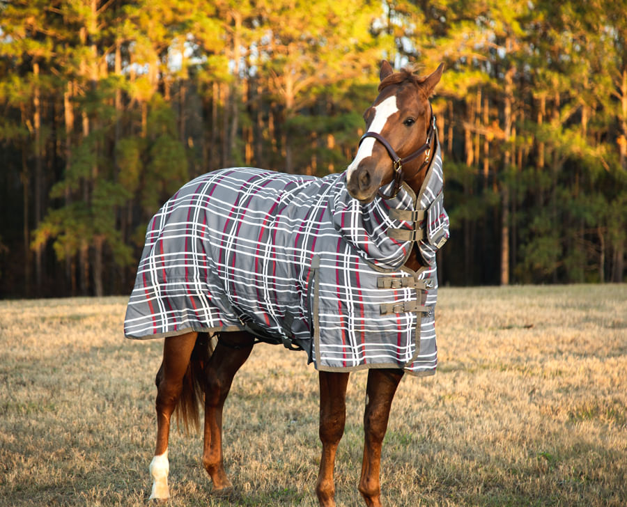 Weatherbeeta Spare Rug/Horse Blanket Storage Bag