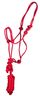 Rope Halter and Lead, Colt