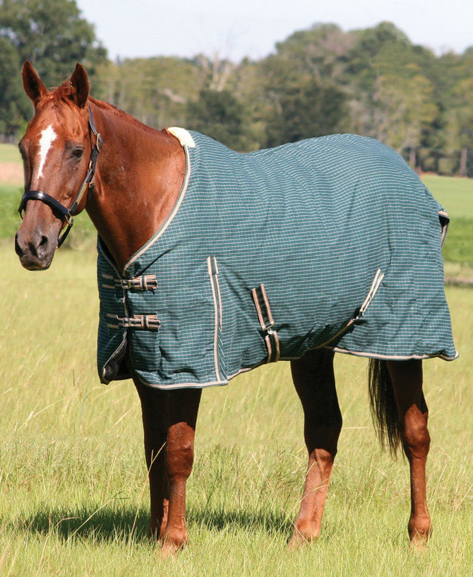 Jeffers Canvas Horse Blanket Jeffers