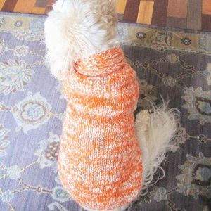 Walking Palm Dog Sweater