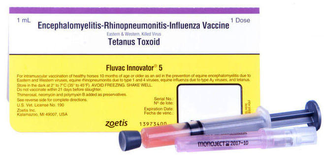 Fluvac-Innovator-5--1-dose-syringe-