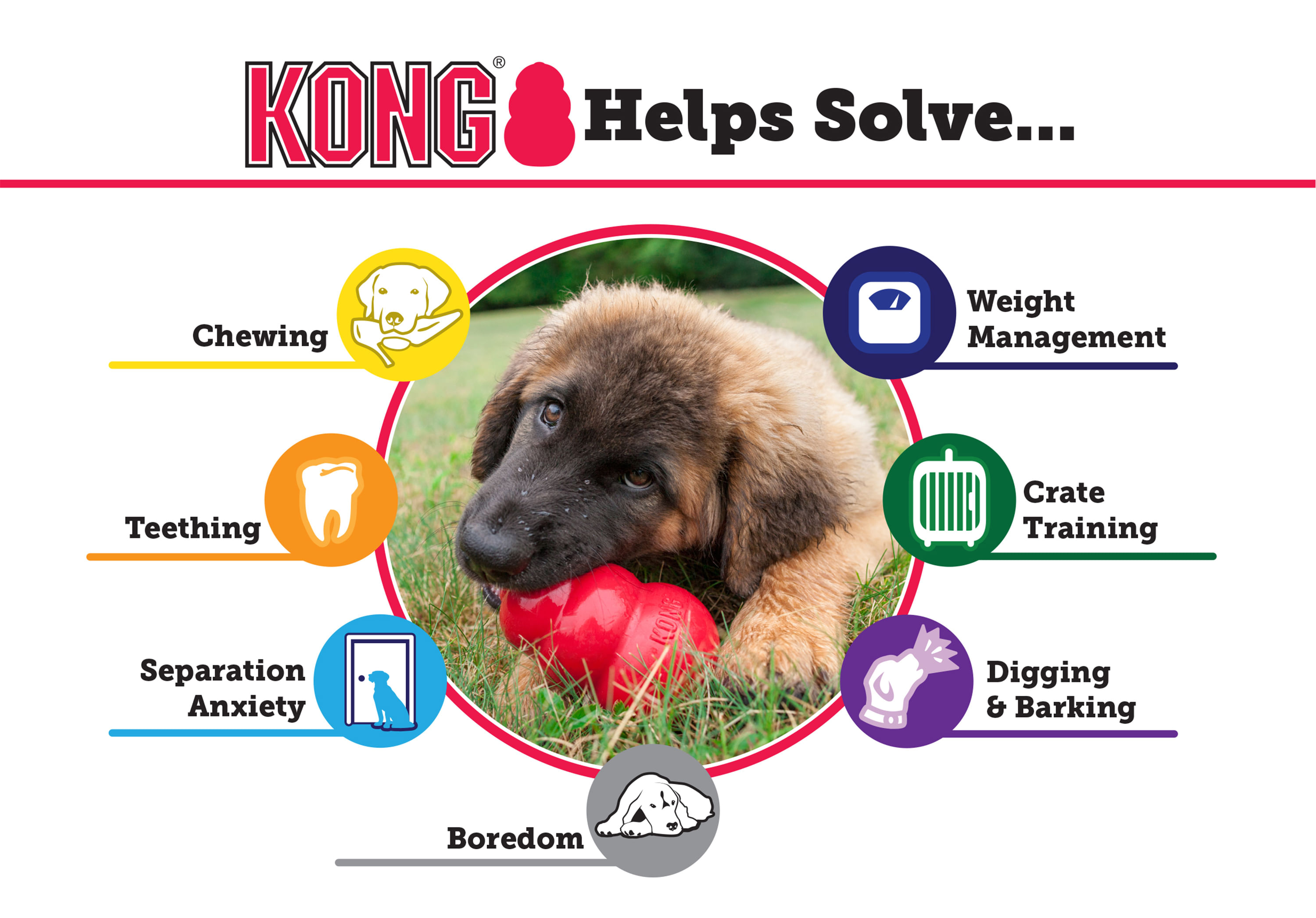 Kong Puppy Gioco Per Cani Cuccioli – DOG IS GOOD Online Shop
