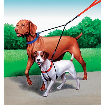Double-Dog™-Leash---Coupler