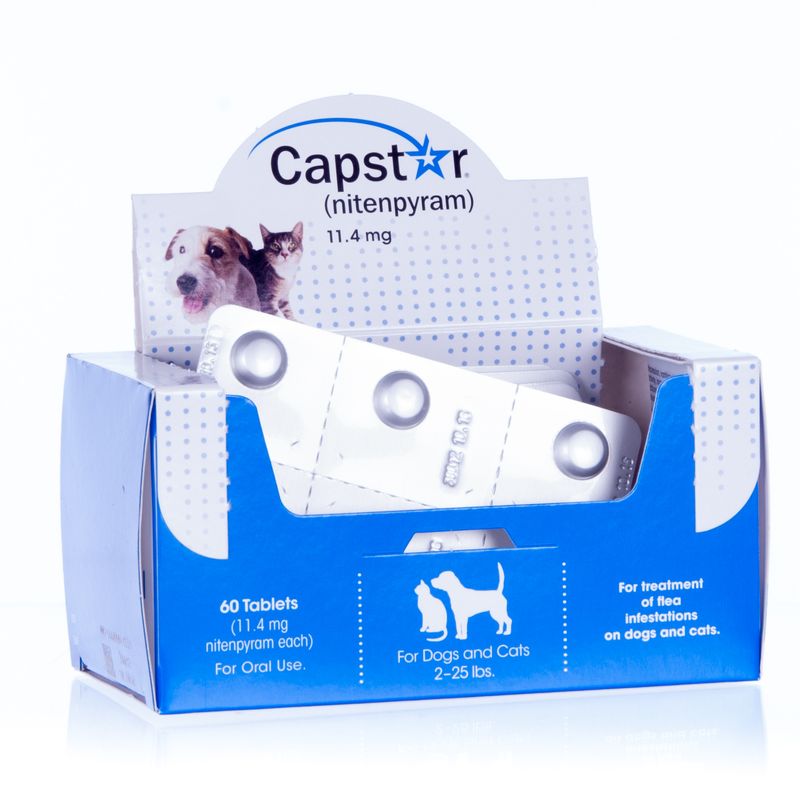 capstar oral flea treatment for dogs and cats