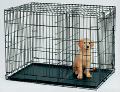 Life-Stages-Fold---Carry-Pet-Home--Crate-