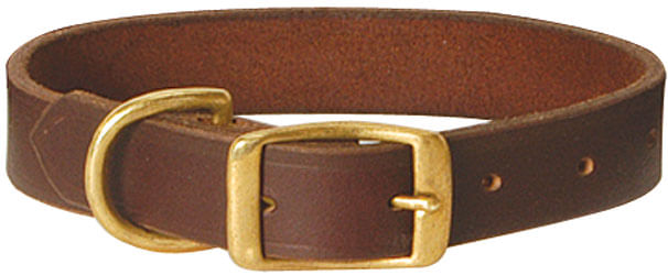 Flat leather sale dog collar