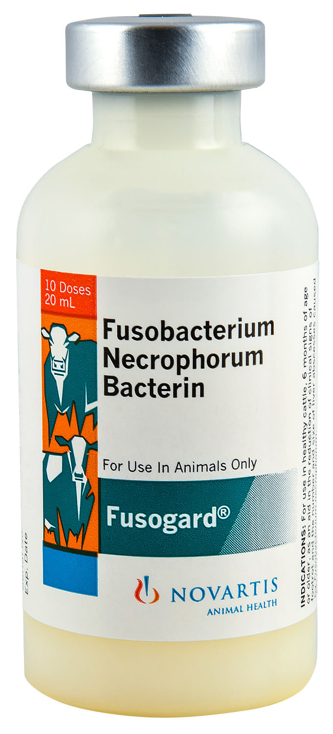 Fusogard Cattle Vaccine for Foot Rot Protection Jeffers