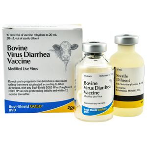 Bovi-Shield Gold BVD Vaccine
