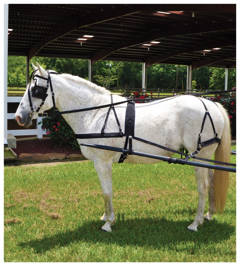 Tough1 Nylon Horse Driving Harness Jeffers