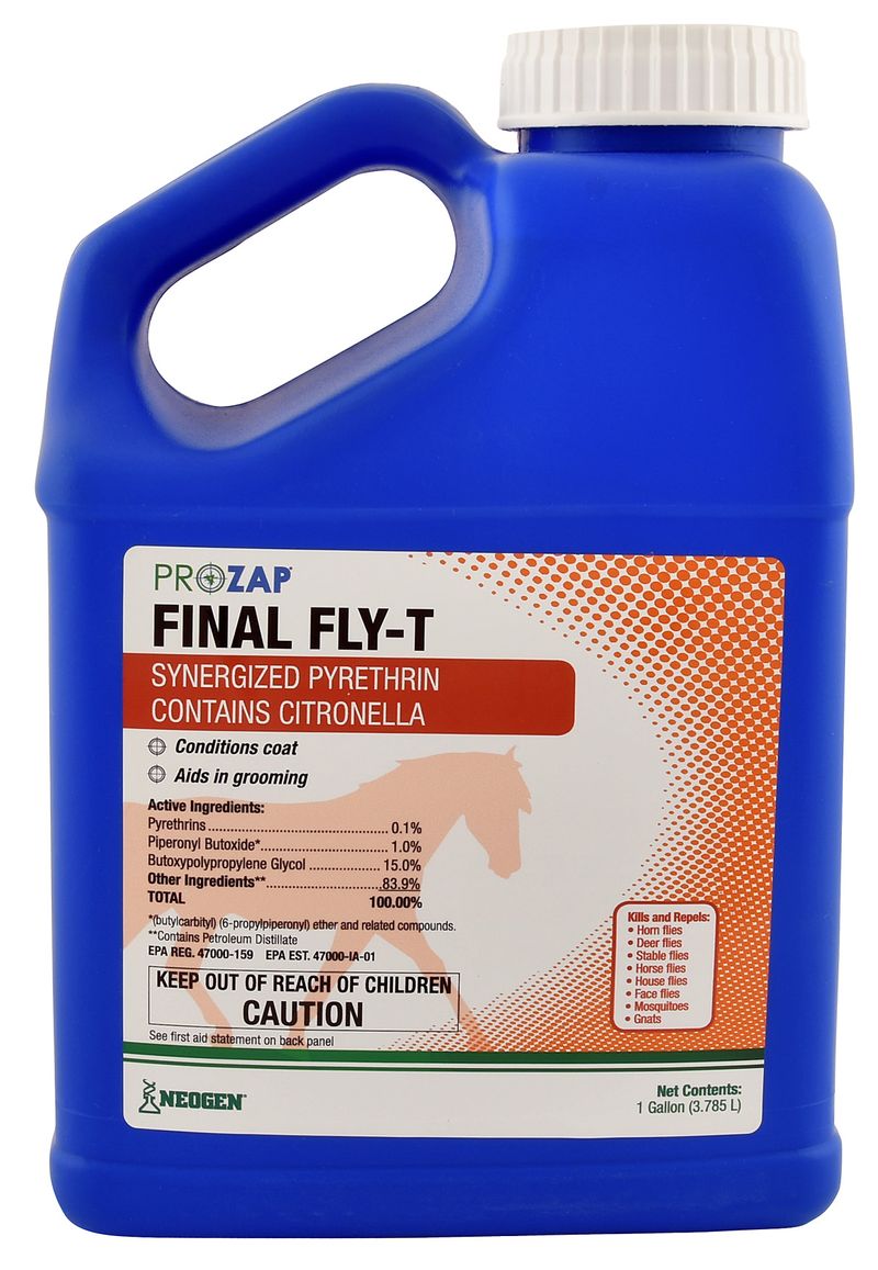 Final-Fly-T-gallon