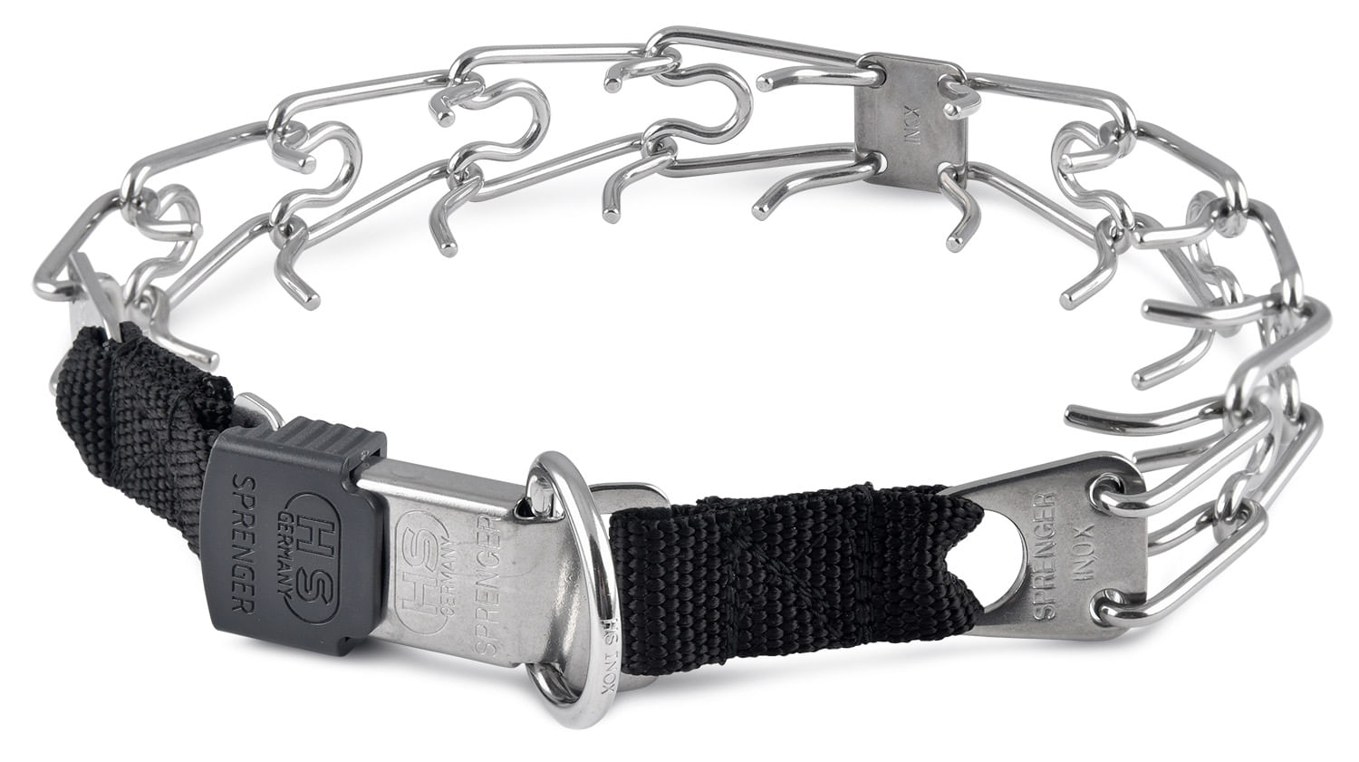 Prong collar 2025 with buckle