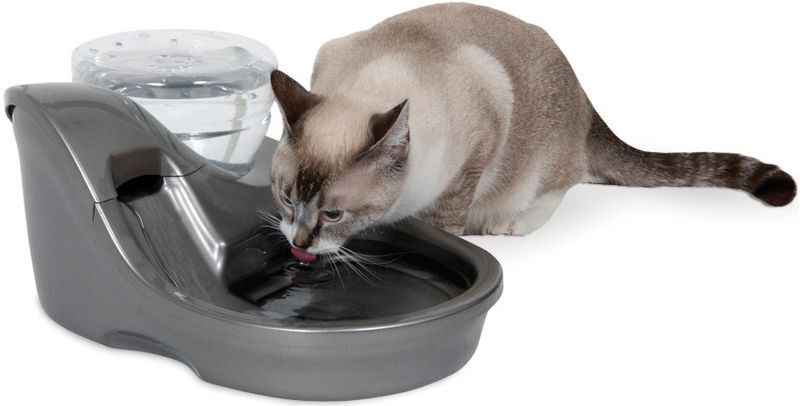 Uv pet outlet water fountain