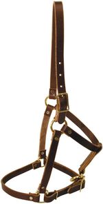 Riveted-Leather-Halter-Yearling
