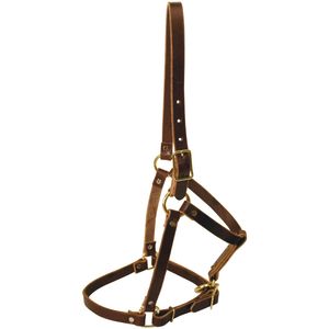 Riveted Leather Halter, Yearling