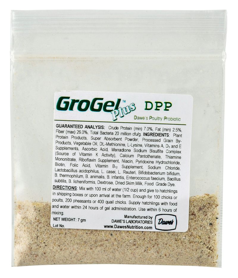 GroGel Plus W/DPP Hatchling Supplement - Jeffers