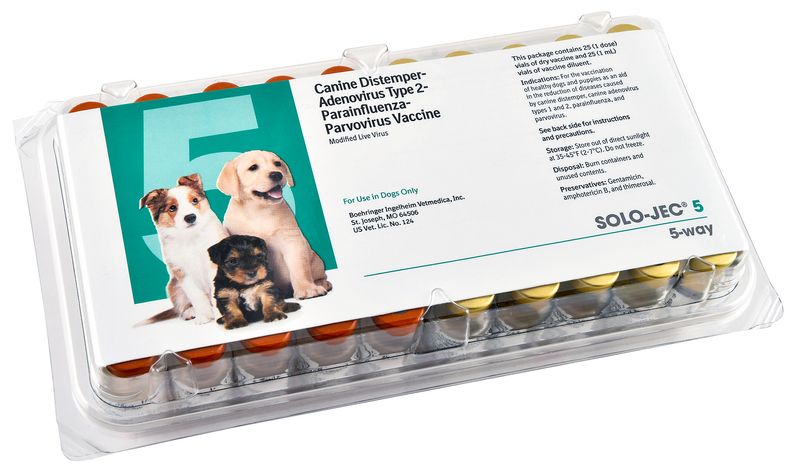 Distemper vaccine hot sale